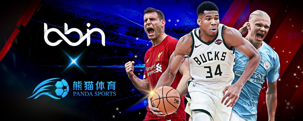 签下什琴斯